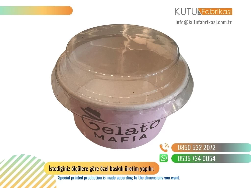 Dondurma Kutusu 01