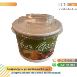 Dondurma Kutusu 02